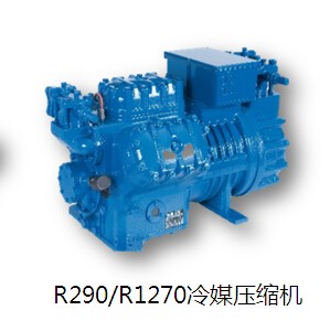 黔南R290/R1270冷媒壓縮機